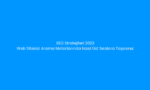 SEO Stratejileri 2024 Web Sitenizi Arama Motorlarında Nasıl Üst Sıralara Taşırsınız